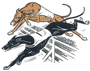 Greyhound Prints: Greyhounds over hurdles