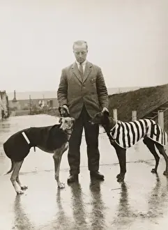 Warmth Prints: Greyhounds at Wembley