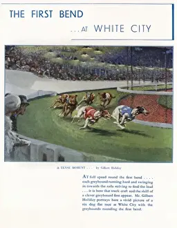 Moment Prints: Greyhounds at White City