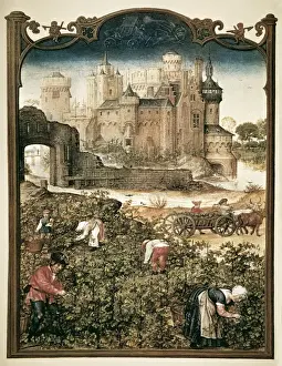 Nazionale Prints: Grimani Breviary. 16th c. Month of September