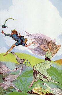 Mercer Gallery: Grimms Fairy Tales