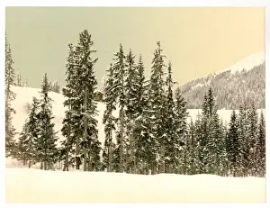 Grisons Prints: Grisons, Switzerland, in winter