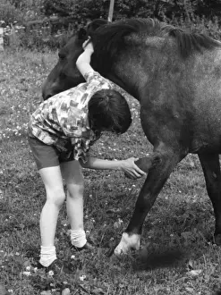 Grooming Prints: Grooming a Pony
