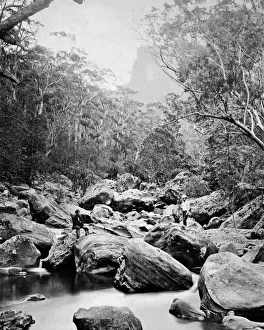 Grose Valley, New South Wales, Australia