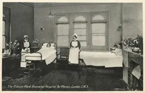 Fire Place Prints: Grosvenor Hospital for Women, London