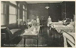 Grosvenor Hospital for Women, London