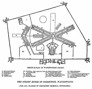 Surrey Collection: Ground plan of Wandsworth Prison