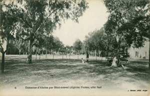 Images Dated 7th December 2015: The grounds of Abziza farm. B鮩Mered, Blida