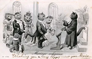 Images Dated 14th June 2018: Group of cats at a wedding in a church on a French postcard