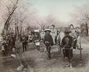 Laborer Collection: A group of geishas in rickshaws in a Japanese park
