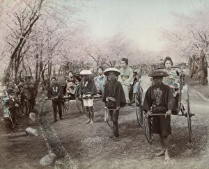 Rickshaws Prints: A group of geishas in rickshaws in a Japanese park