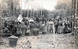 Images Dated 8th June 2021: Group of London Hop Pickers in Kent