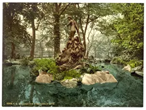 Group of Nymphs in Park Lake, Karlsruhe, Baden, Germany