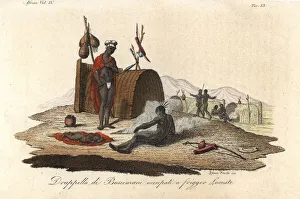Freschi Collection: A group of San people harvesting a swarm of
