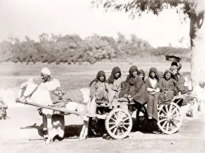Group of women on a donkey cart, Egypt, c. 1880 s