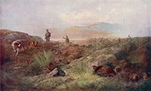 Moor Collection: Grouse shoot 1912