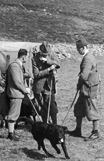 Confer Prints: Grouse Shooting C1960