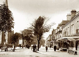 Ilkley Prints: The Grove, Ilkley, early 1900s