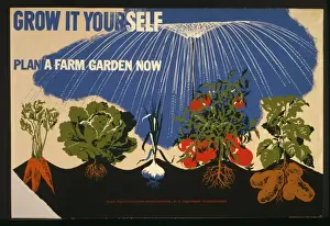 Grow Prints: Grow it yourself Plan a farm garden now