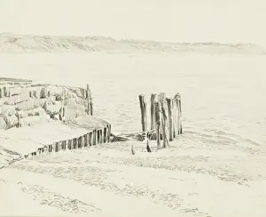 Groynes on the seashore