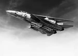 Grumman G-303 F-14 Tomcat