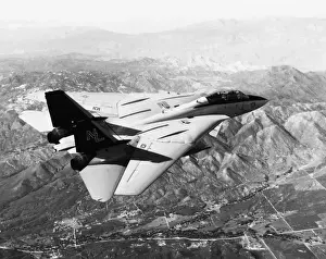 Grumman Prints: Grumman G-303 F-14 Tomcat