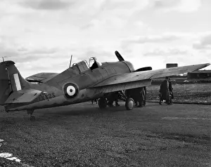 Grumman Martlet I AX828