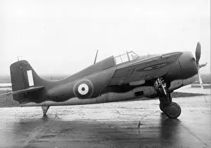 Grumman Prints: Grumman Martlet I BJ570