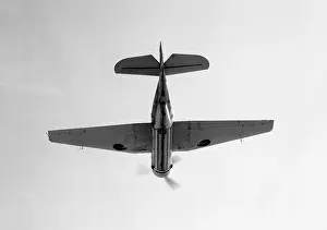 Grumman Tarpon