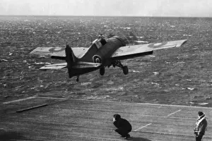 Grumman Wildcat