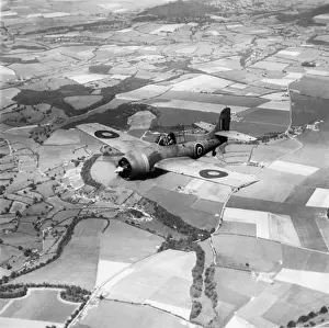 Grumman Wildcat