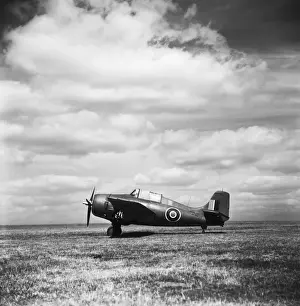 Grumman Wildcat