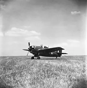 Grumman Wildcat