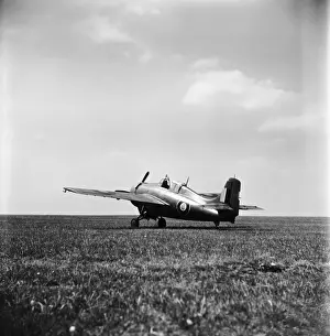 Grumman Wildcat