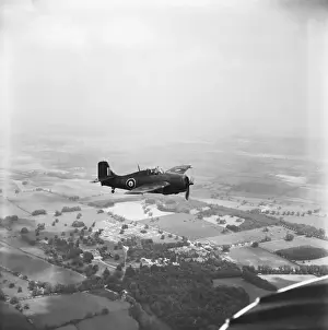 Grumman Wildcat