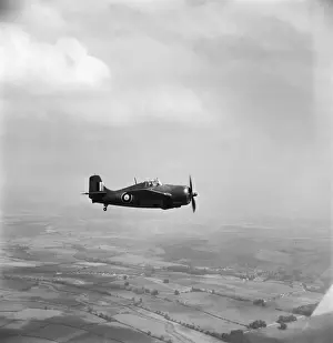 Grumman Wildcat