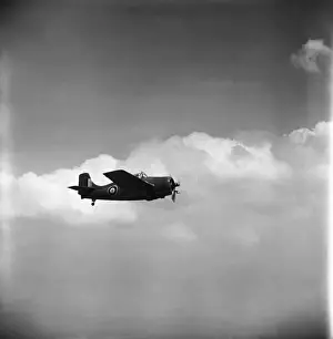 Grumman Wildcat
