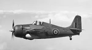 Grumman Wildcat