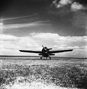 Grumman Wildcat