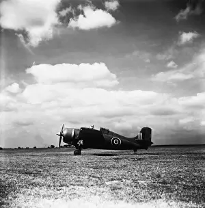 Grumman Wildcat