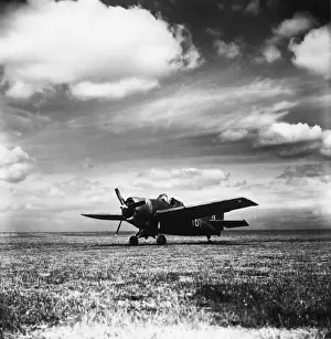 Grumman Wildcat