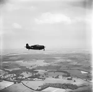 Grumman Wildcat