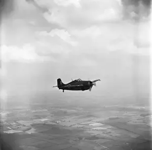Grumman Wildcat