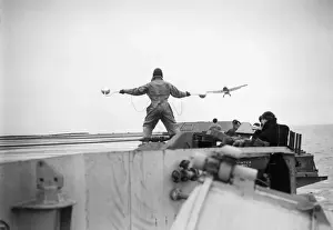 Grumman Wildcat