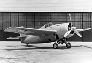 Grumman Wildcat