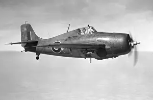 Grumman Wildcat