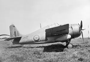 Grumman Wildcat