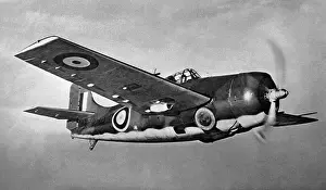 Grumman Wildcat
