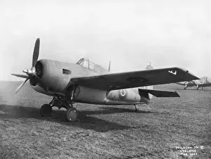 Grumman Wildcat