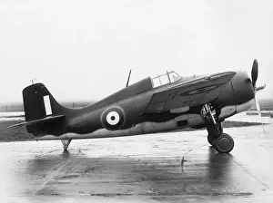 Grumman Wildcat